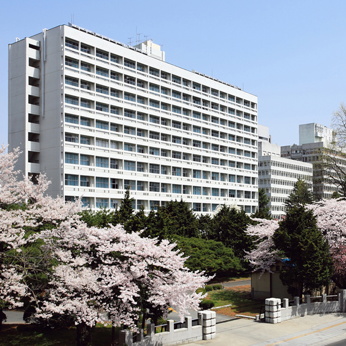 東北大学|大学ポートレート 東北大学|大学ポートレート