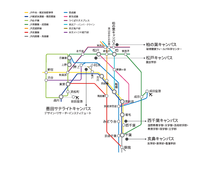 キャンパス 国際教養学部 千葉大学 大学ポートレート