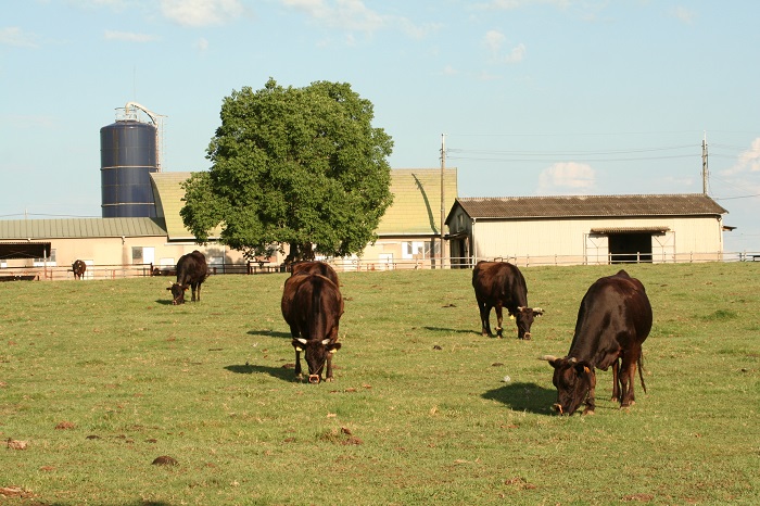 キャンパスの外観2