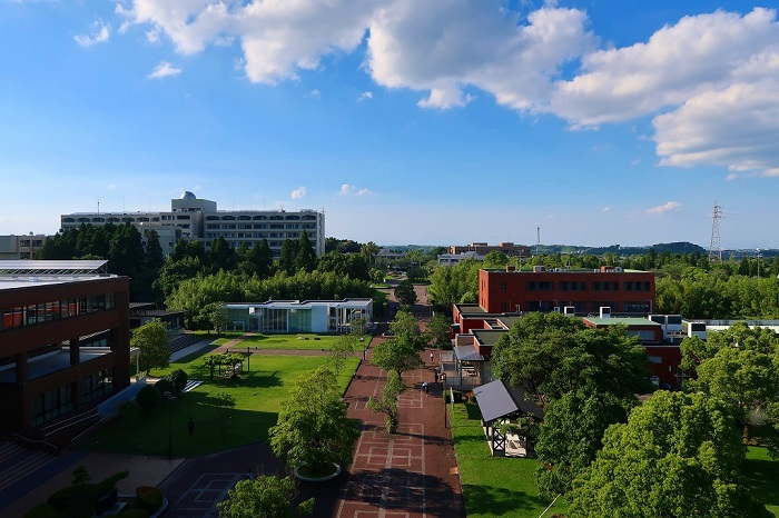 宮崎大学（教育学部・医学部〈看護学科〉・工学部・農学部・地域資源